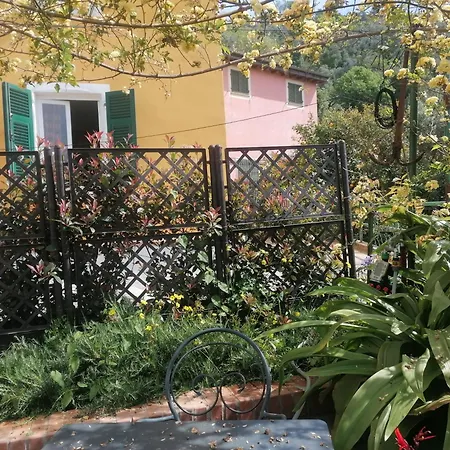 Apartment Floral House Vista Mare A